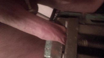 Penis Kele...