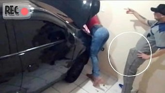 Azgın Tami...