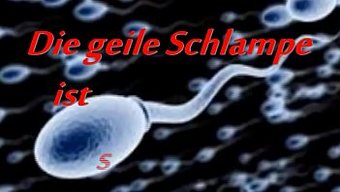 Alman Gay:...